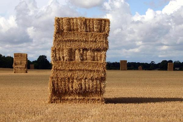 Haystacks by Fenway.jpg
